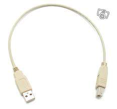 Cable usb1.1 ab m/m